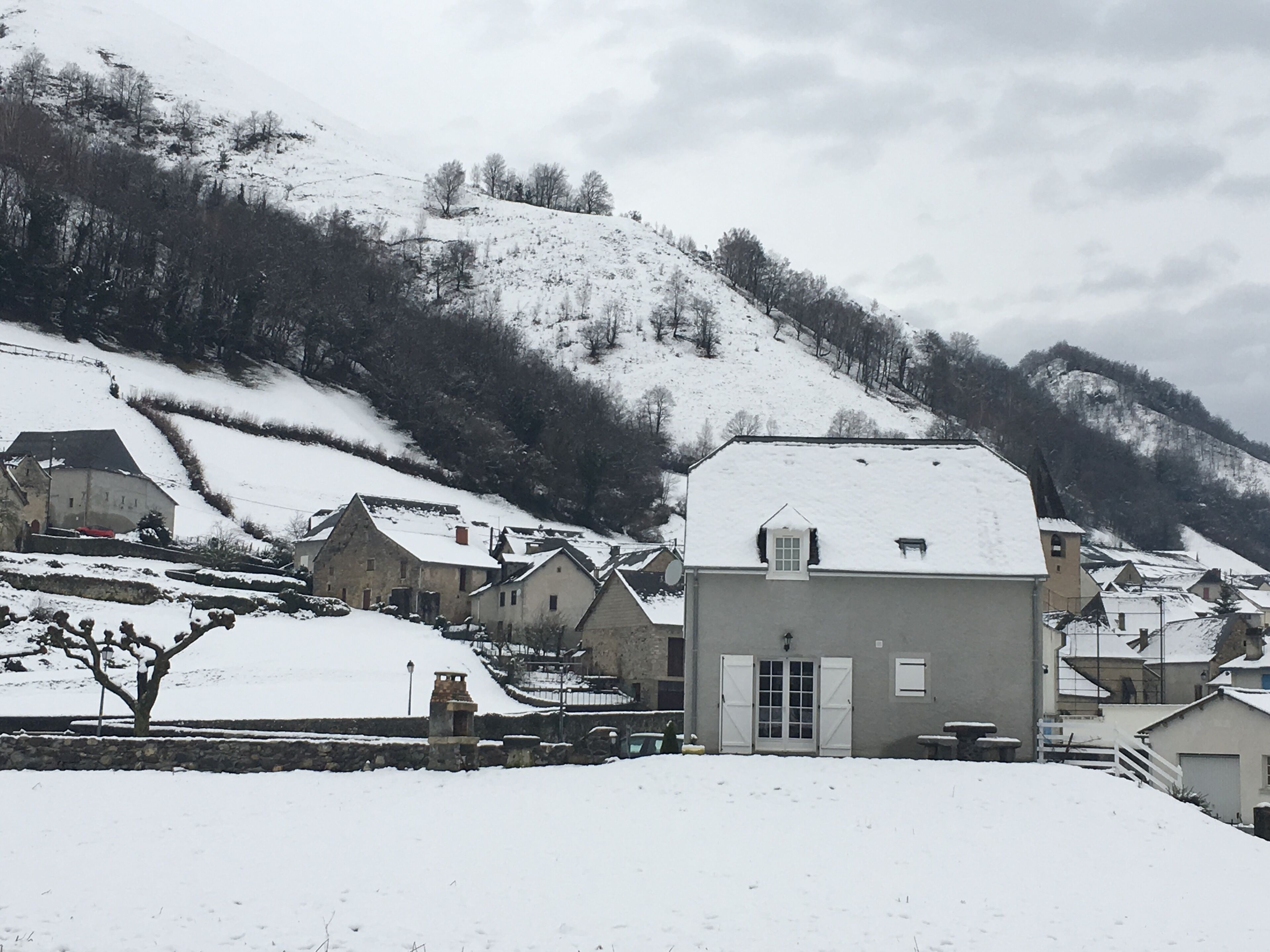 A snow-covered village with traditional houses, a prominent white building with a door and windows, and a hill in the background.