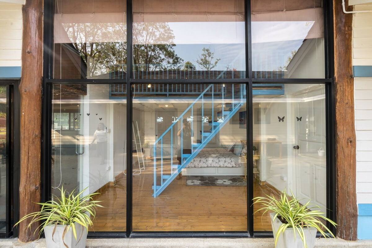 Une entrée moderne avec des portes en verre, un escalier bleu et des plantes en pot.