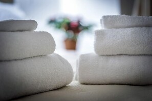 Shower, hair dryer, bidet, towels - Mr. Charlie Brown (Rome)