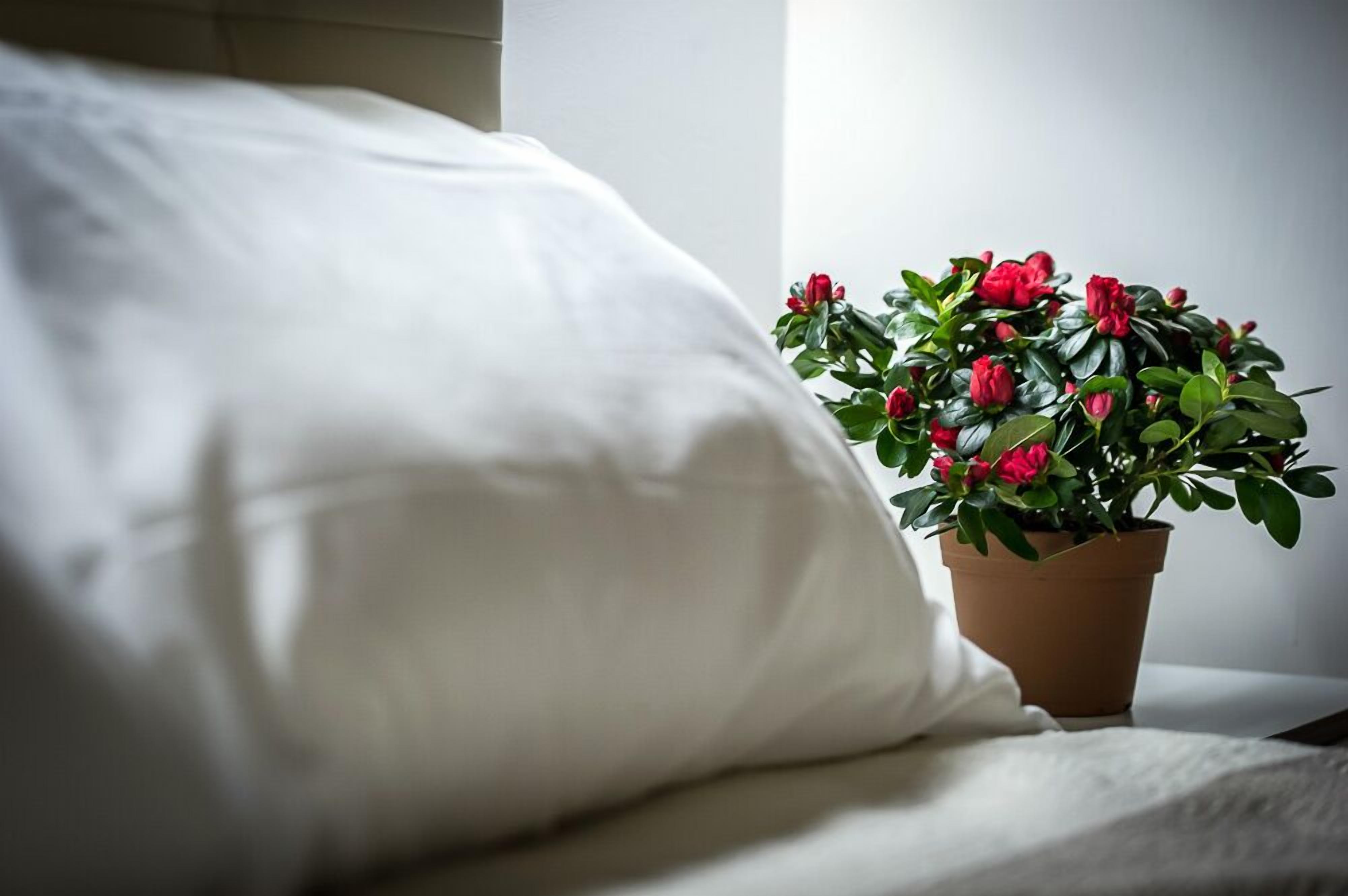 Un lit avec une literie blanche et une plante en pot ornée de fleurs rouges.