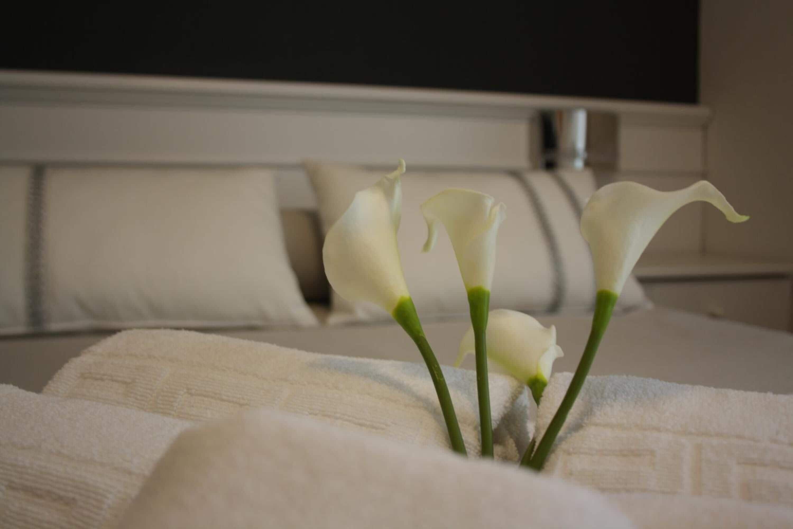 double room | in-room safe, desk, free wifi, bed sheets