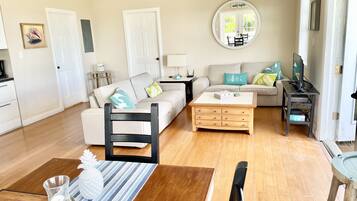 Smart TV, Netflix, DVD player, books