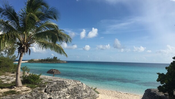 Ein Strand mit klarem türkisblauem Wasser, einer Palme und einer felsigen Küstenlinie.