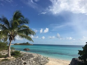 Una playa con aguas turquesas cristalinas, una palmera y un litoral rocoso.