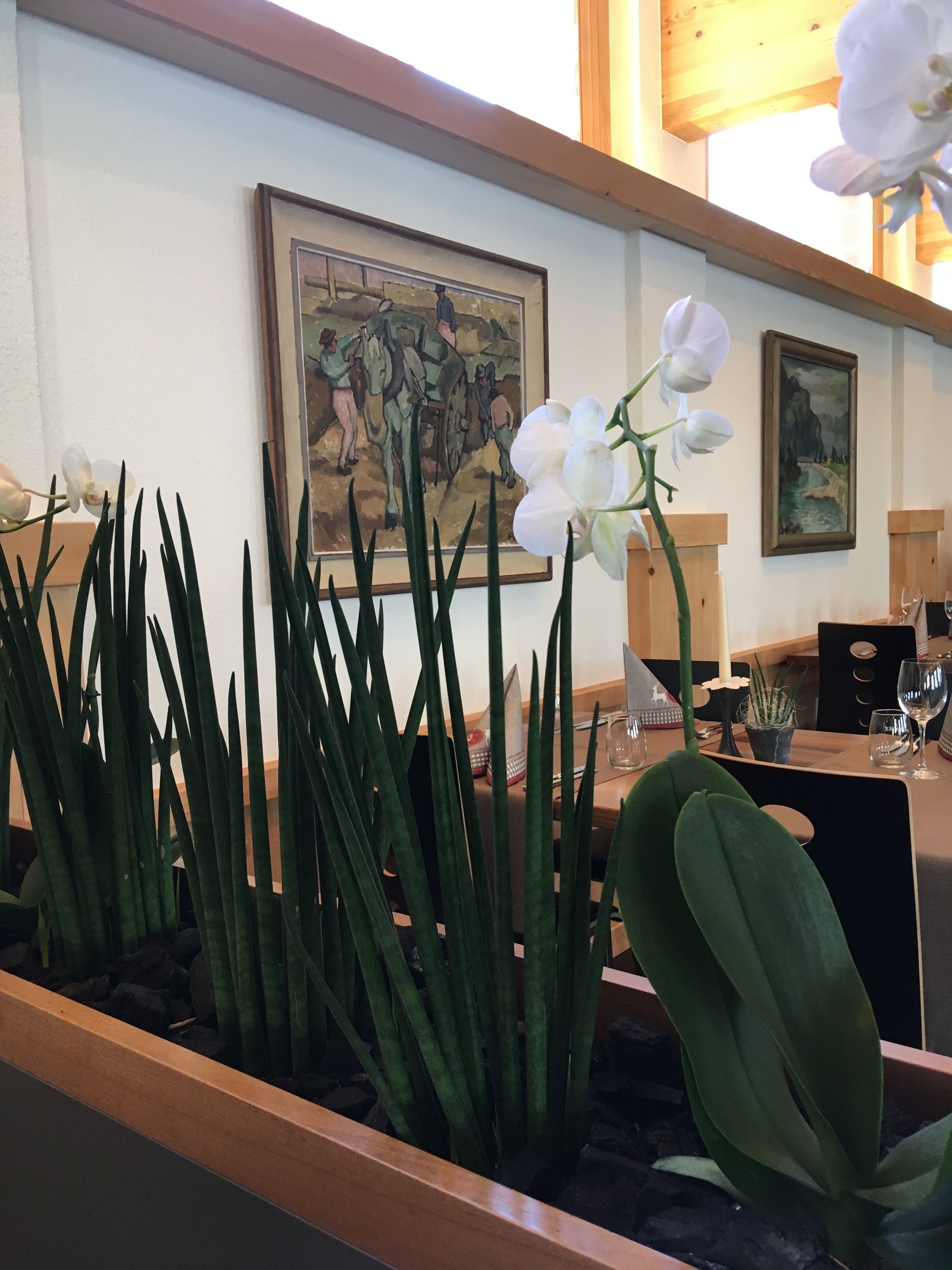 breakfast, lunch, dinner served; local cuisine