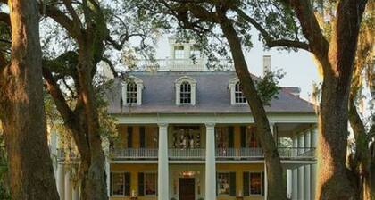 Adorable Quiet House Pvt Courtyard on Street Car Line