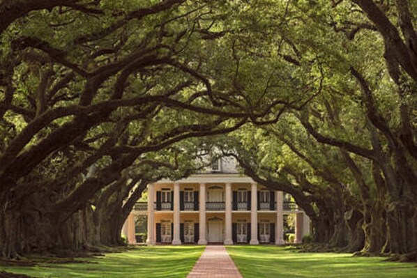 Exterior - Adorable Quiet House Pvt Courtyard on Street Car Line (New Orleans)