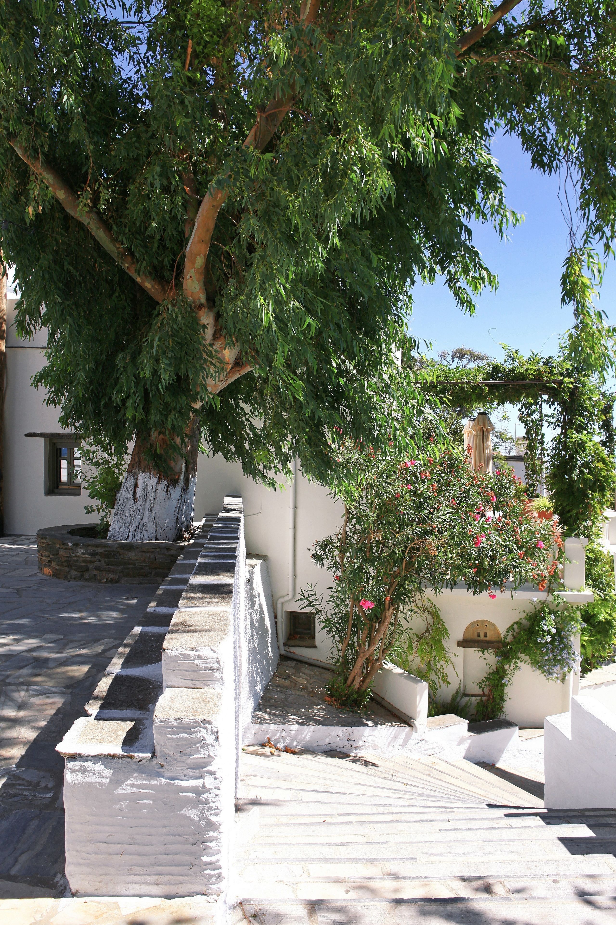 A stone staircase leading up to a building with a tree providing shade.