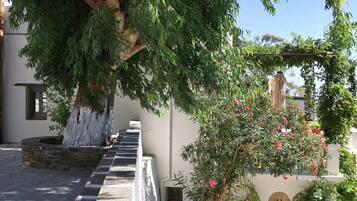 A stone staircase leading up to a building with a tree providing shade.