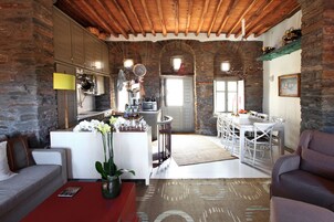 Televisión de pantalla plana, chimenea, reproductor de DVD