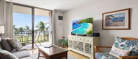 Smart TV, DVD player, books, music library