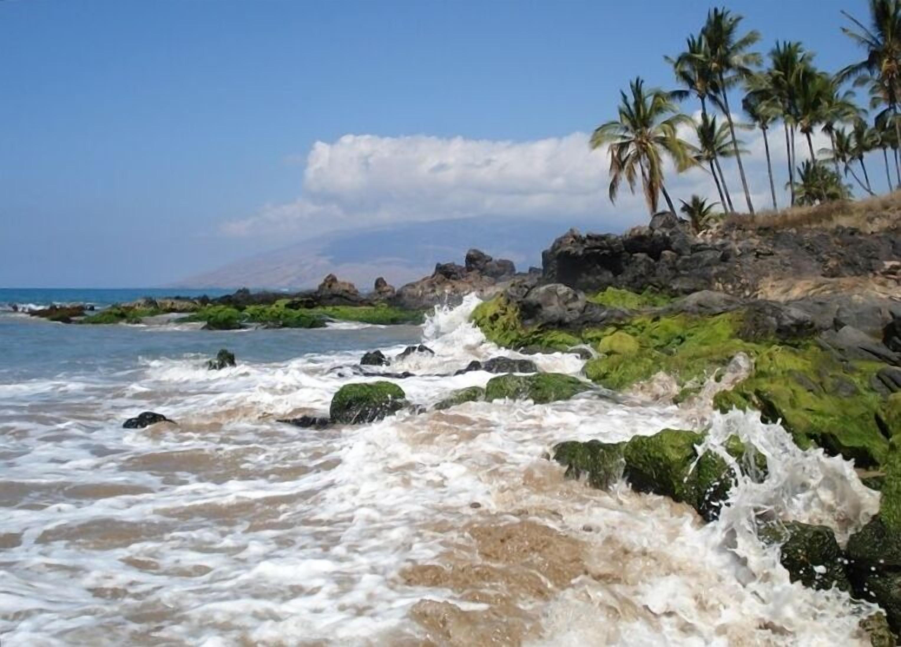 På stranden, solsenger og strandhåndklær