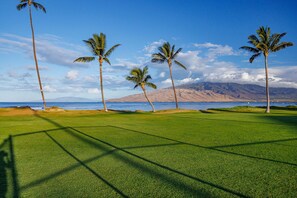 A golf course with palm trees and a view of the ocean. - Penthouse Oceanview Vistas (Kihei, Maui)