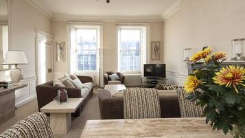 Smart TV, fireplace, DVD player, books