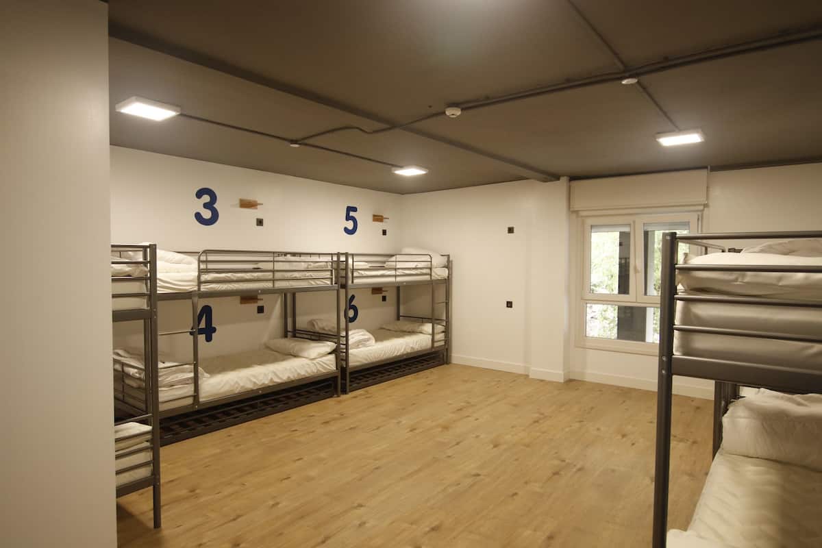 A dormitory room with bunk beds numbered 3 to 6, wooden flooring, and a window with a view.
