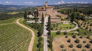 Un gran castillo con una torre, rodeado de viñedos y un césped bien cuidado.