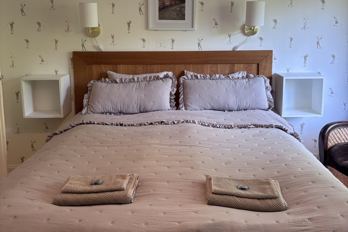 标准双人房, 1 张特大床 | 熨斗/熨板、免费 WiFi、特色装修、特色家居