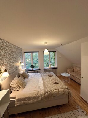 Standard Double Room - 1 King Bed (Room 3)