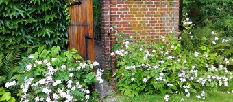 Minnesberg Bed & Breakfast