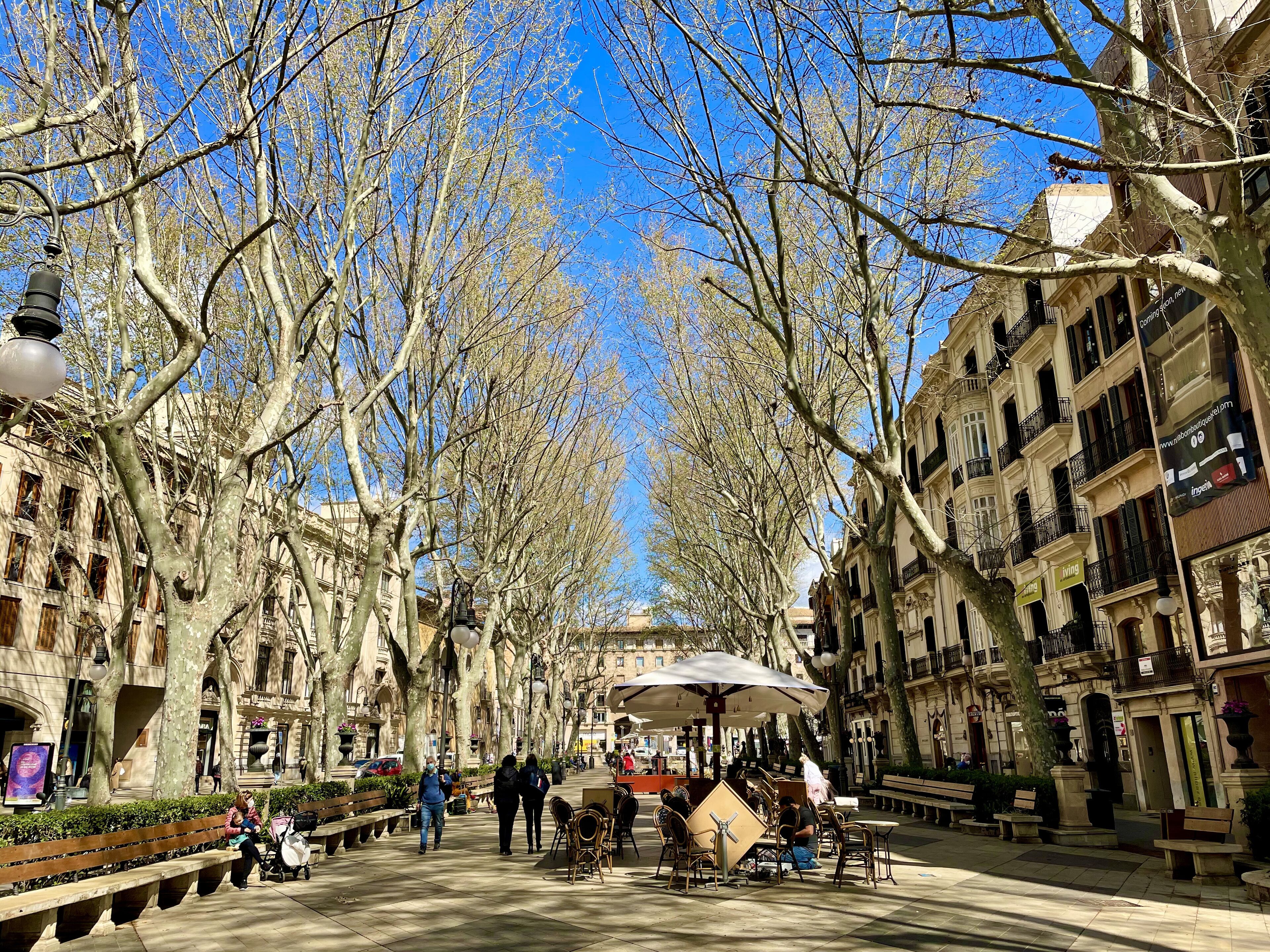 Foto - Hotel Basilica