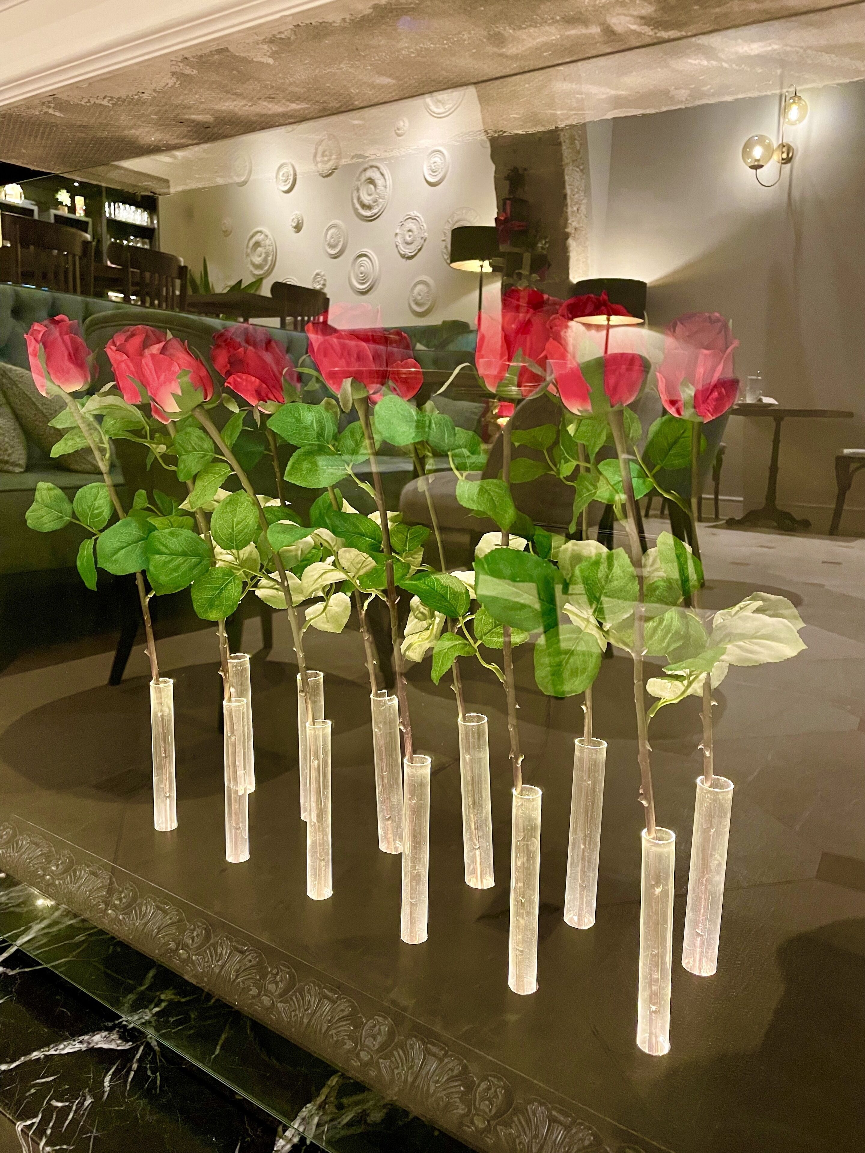 A series of rose plants in transparent vases on a reflective surface.
