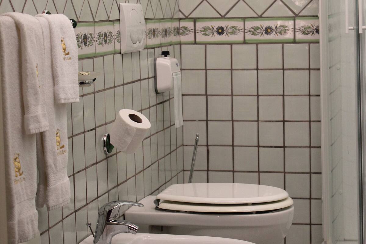 Un baño con inodoro, lavabo y ducha.