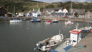 A harbor with multiple boats docked, a small boat with a lifebuoy, and houses in the background. - Gowan Bank (Montrose)