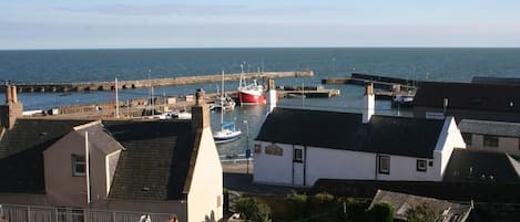 A coastal town with a marina, houses, and a pier extending into the sea.
