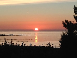A sunset over a calm sea with silhouettes of vegetation in the foreground. - Gowan Bank (Montrose)