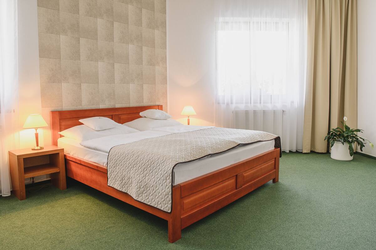 A neatly made bed with a wooden headboard, two bedside lamps, and a potted plant beside the window.