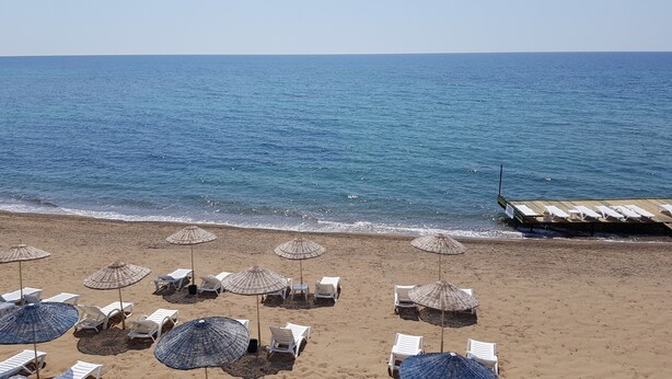 Una playa con sillas reclinables blancas y sombrillas tejidas.