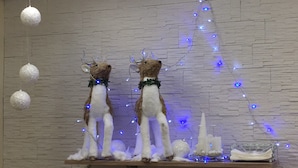 Una repisa de madera con dos figuras de renos, una guirnalda de luces azules y un pequeño árbol de Navidad.