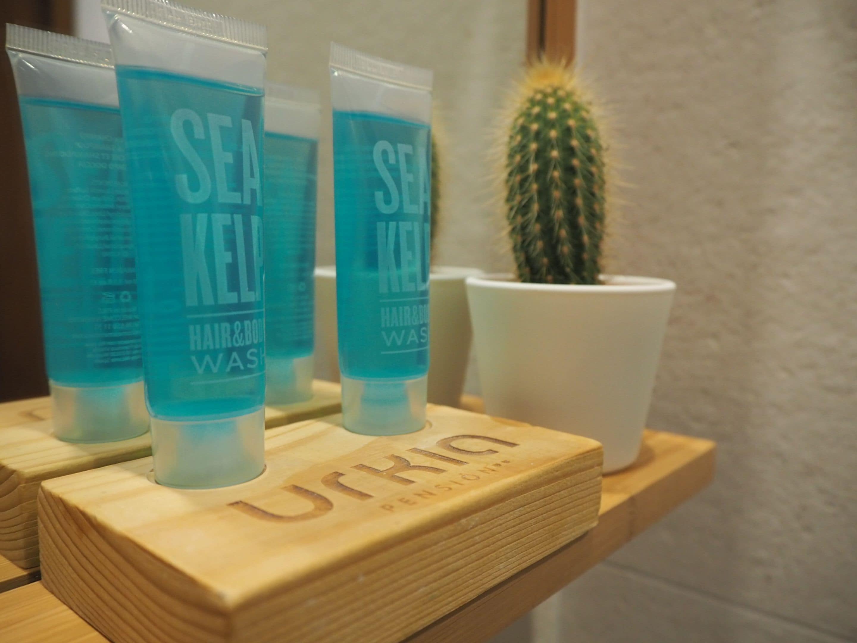 Foto - Pensión Urkia