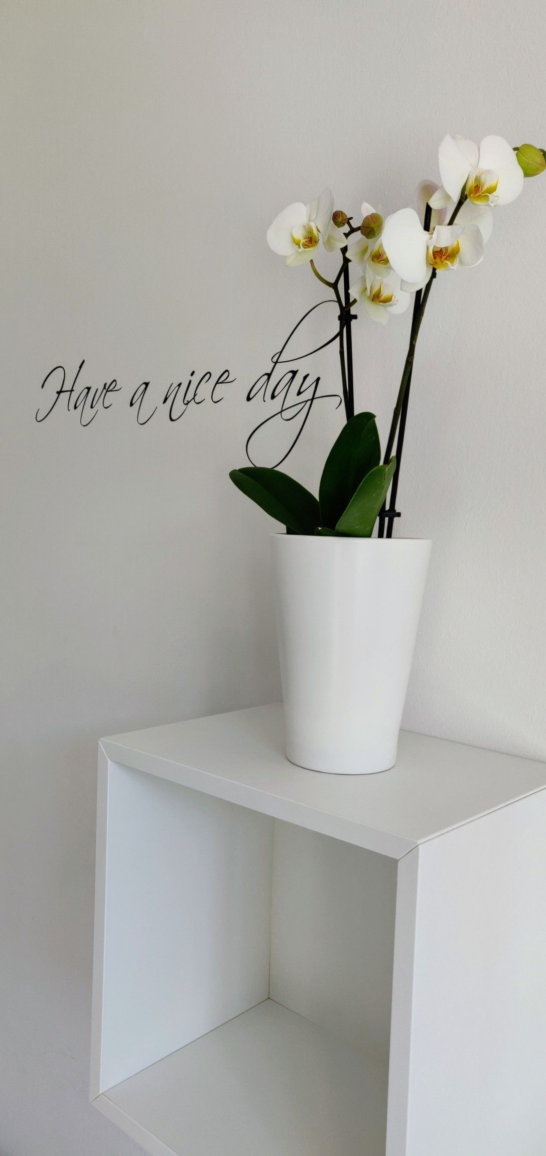 desk, blackout curtains, free wifi, bed sheets