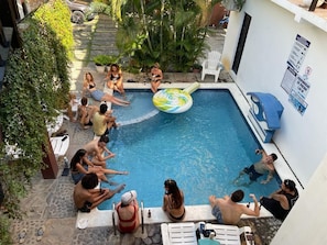 Outdoor pool, open 8:00 AM to 9:30 PM, pool loungers