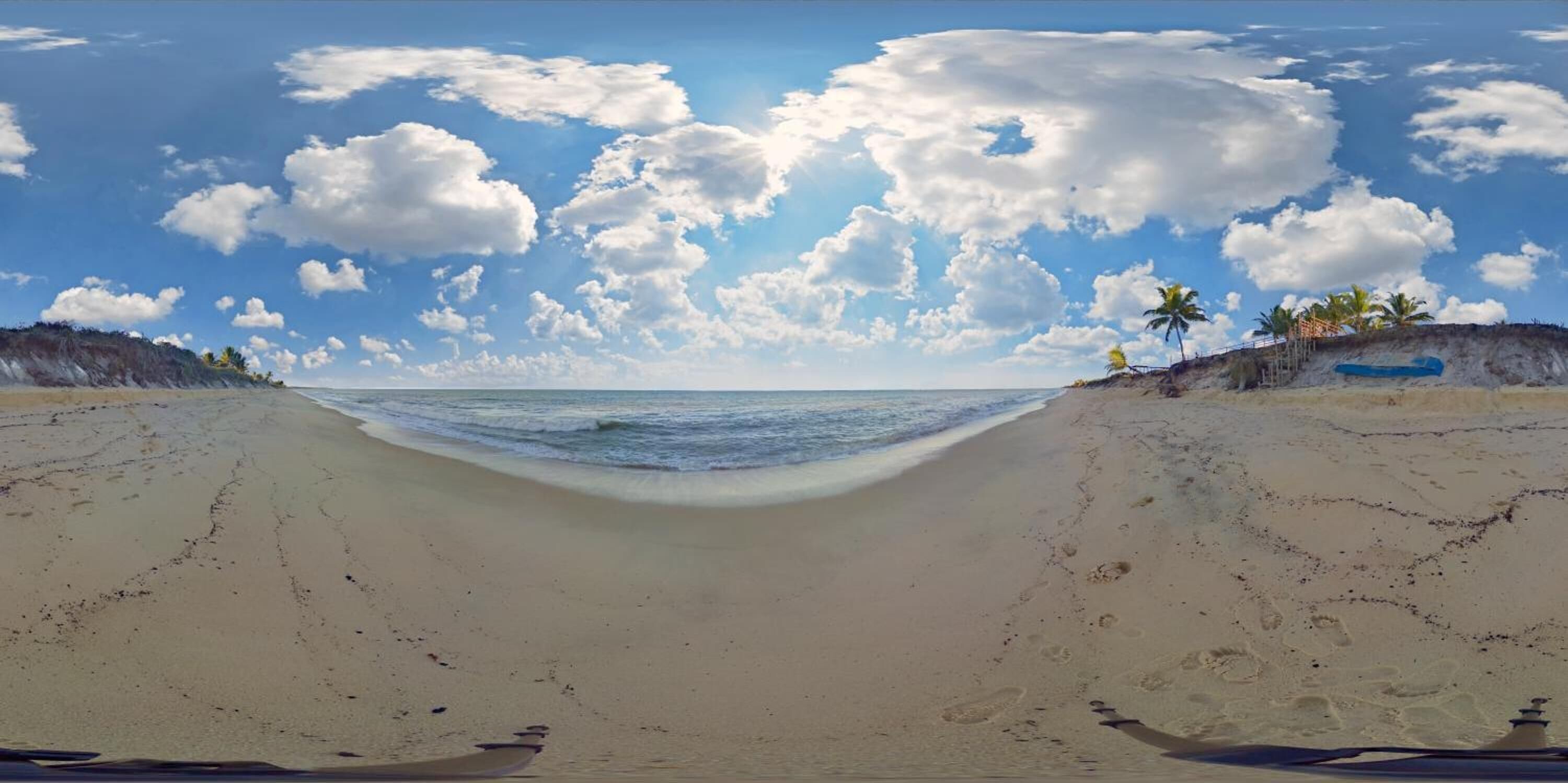 A beach with a clear sky and palm trees.