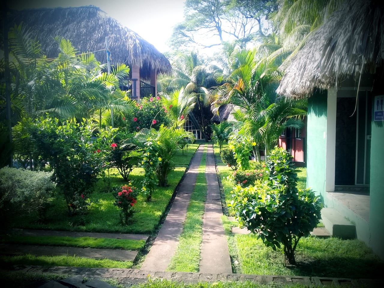 Vườn