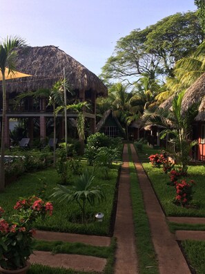 Garden - Papaya Lodge Las Flores (El Cuco)
