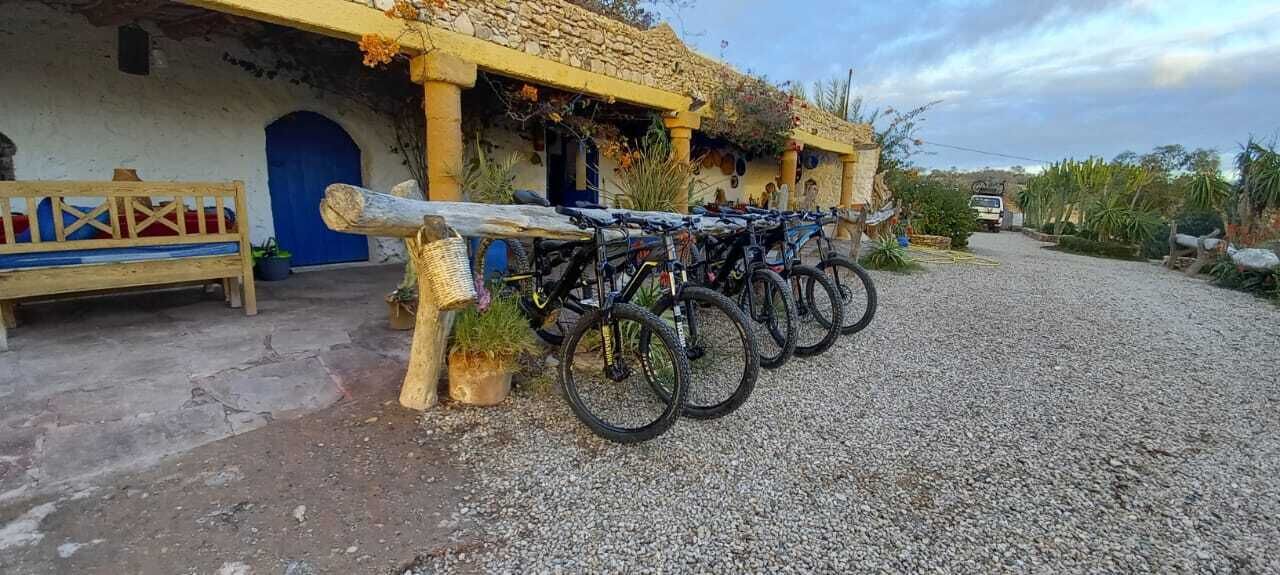 A rustic building with a stone facade, a wooden bench, and a row of bicycles parked in front.