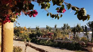 Property grounds - L'Air De La Mer (Sidi Kaouki)