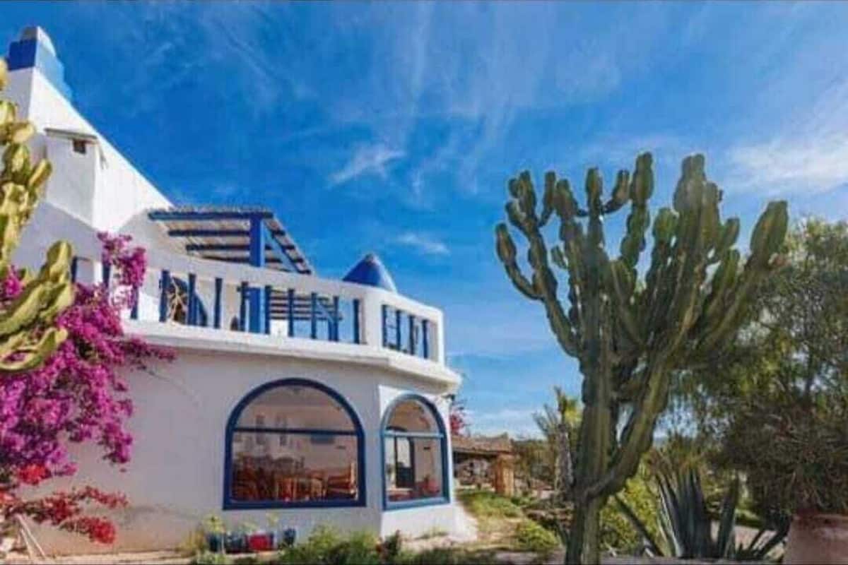A white building with blue accents and arched windows, surrounded by cacti and pink flowers.