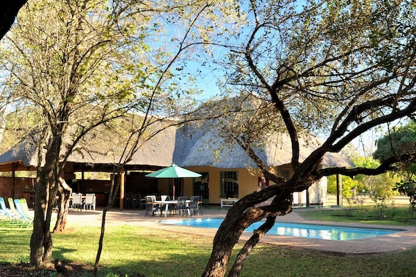 Outdoor pool, open 6:00 AM to 7:00 PM, pool umbrellas, sun loungers