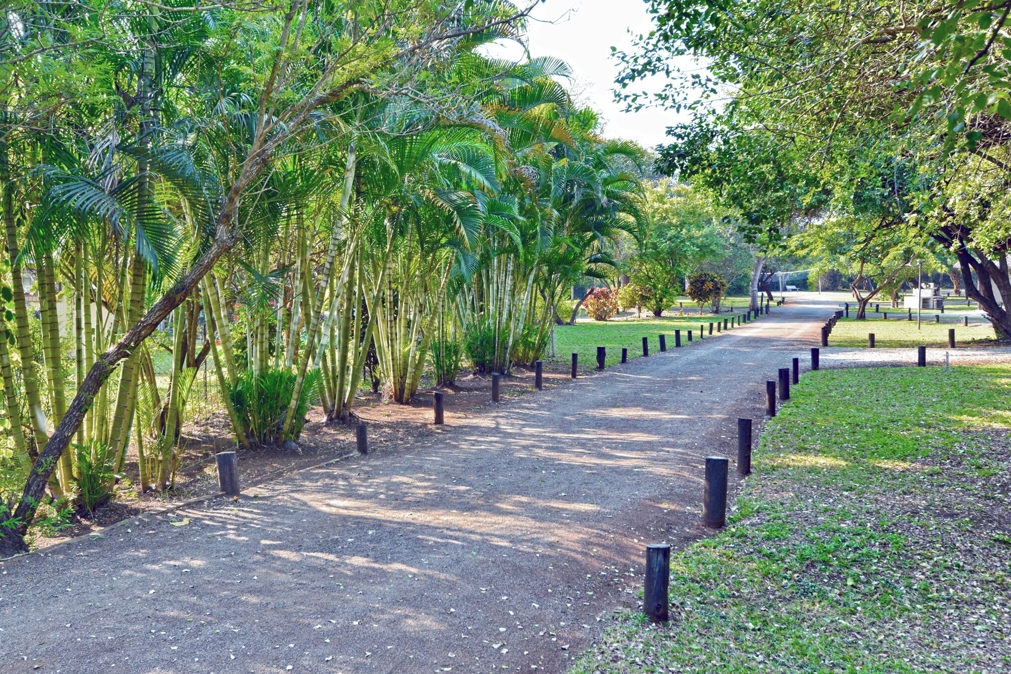 A pathway lined with trees and black bollards, leading through a park-like setting.