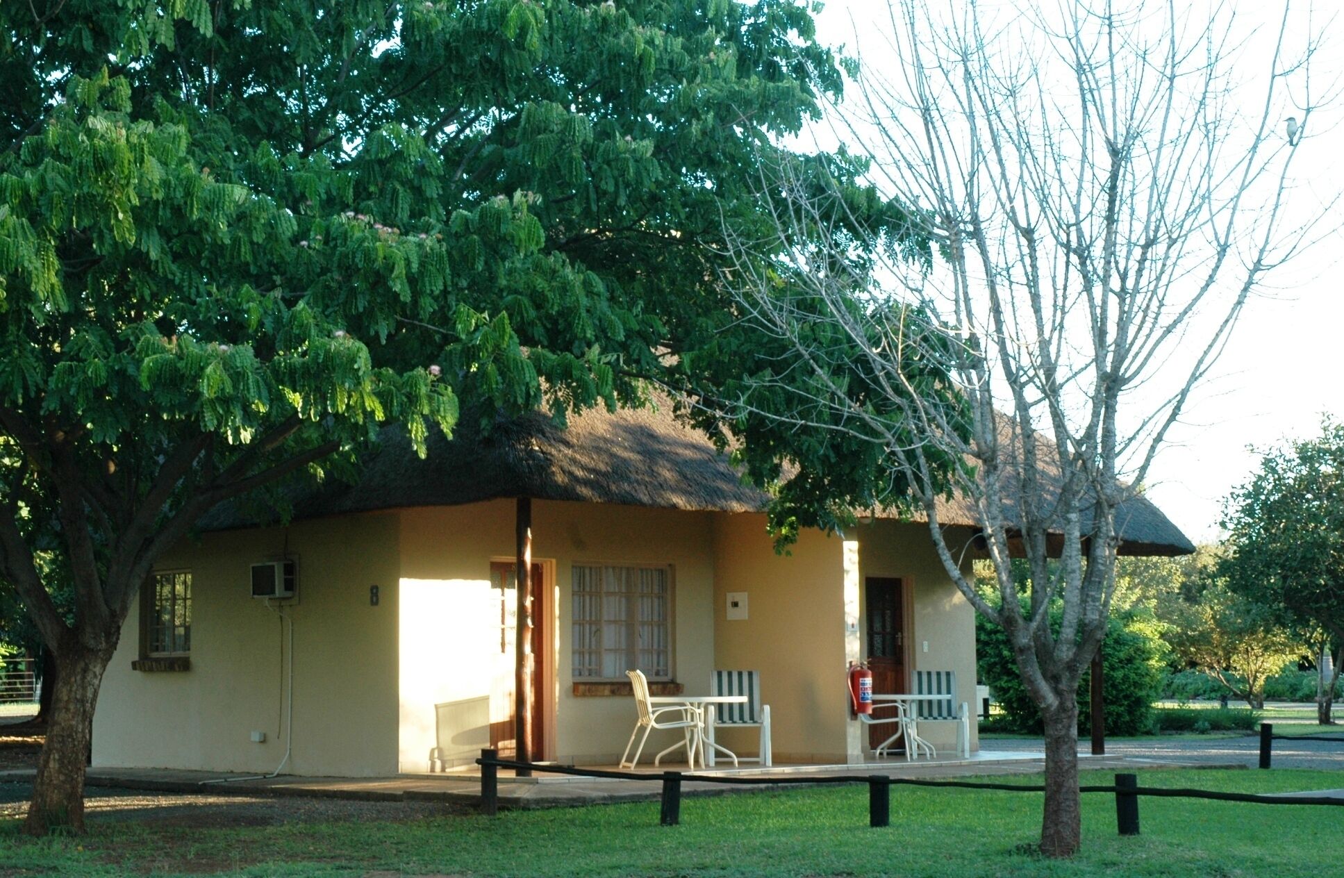 A single-story building with a thatched roof, a small porch with a table and chairs, and a tree in front.