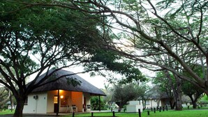 A building with a thatched roof, surrounded by lush greenery and trees.