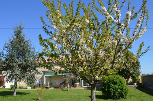 Le Coteau de Bazeille
