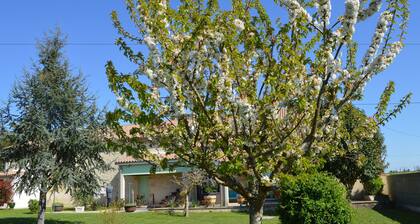 Le Coteau de Bazeille