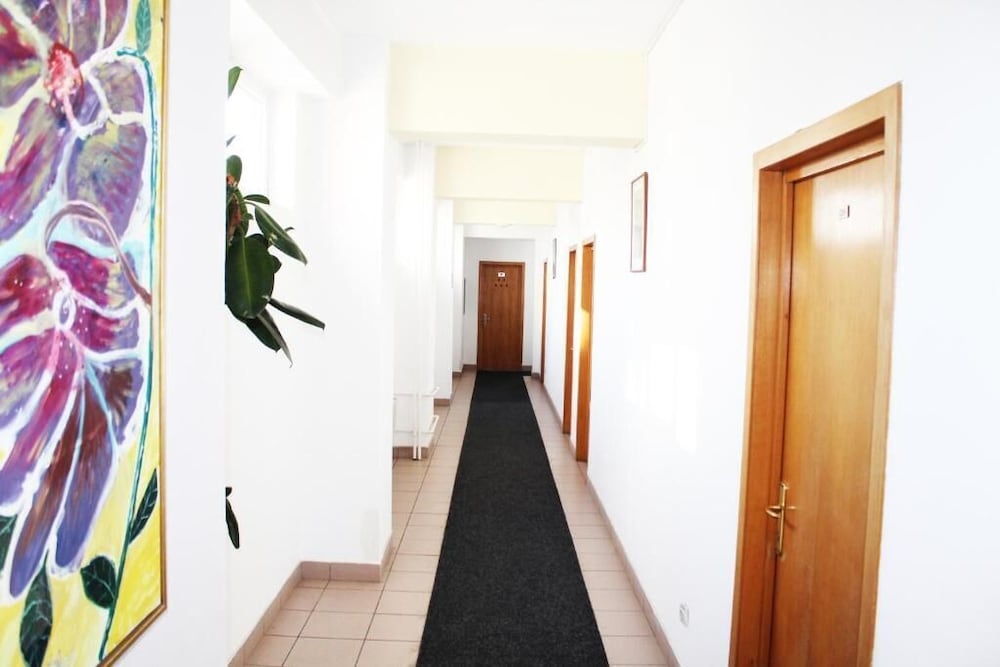 Hotel Elizeu by null