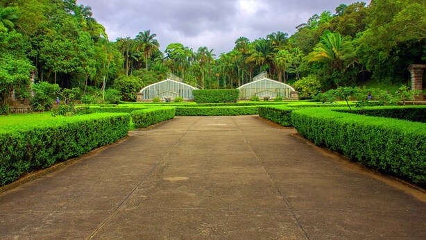Un sendero conduce a dos estructuras con techo de vidrio, rodeadas de setos cuidados y vegetación tropical.