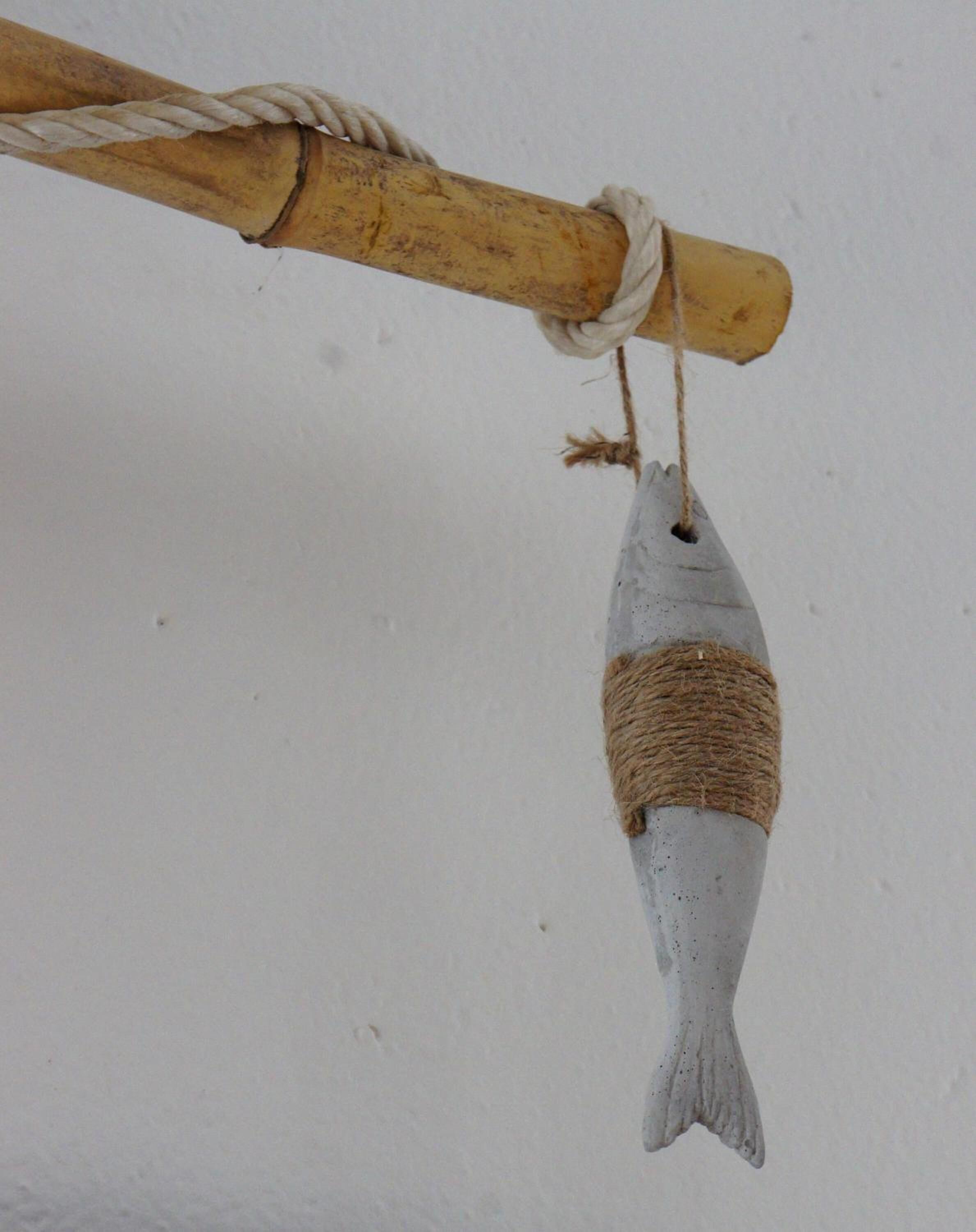 Un poisson suspendu à un bâton de bois à l’aide d’une corde.